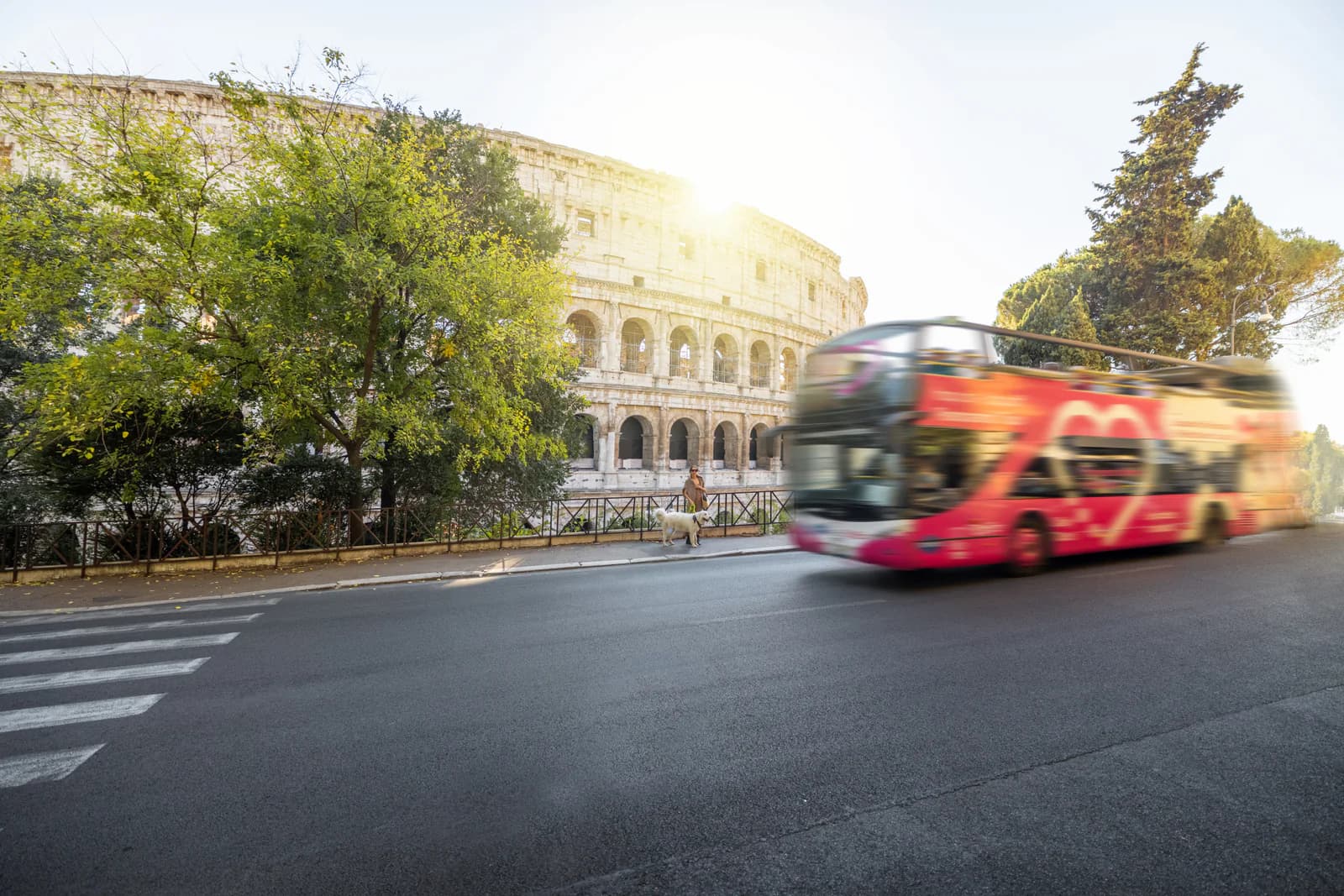 City tours