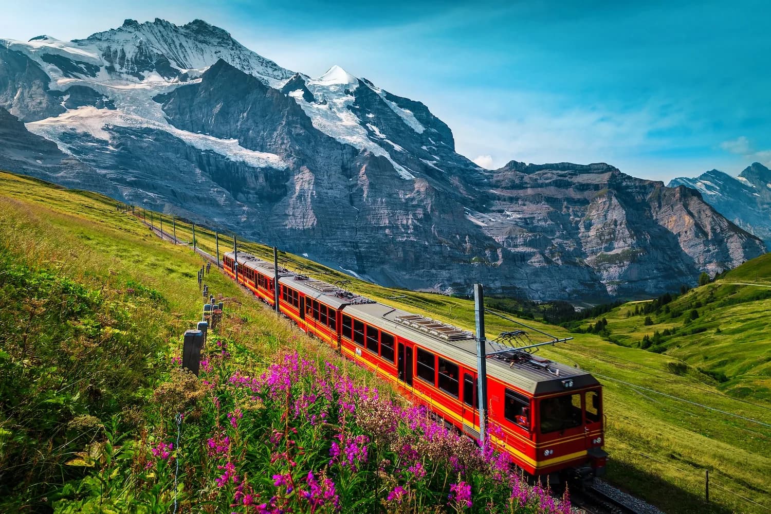 Trains & ferries