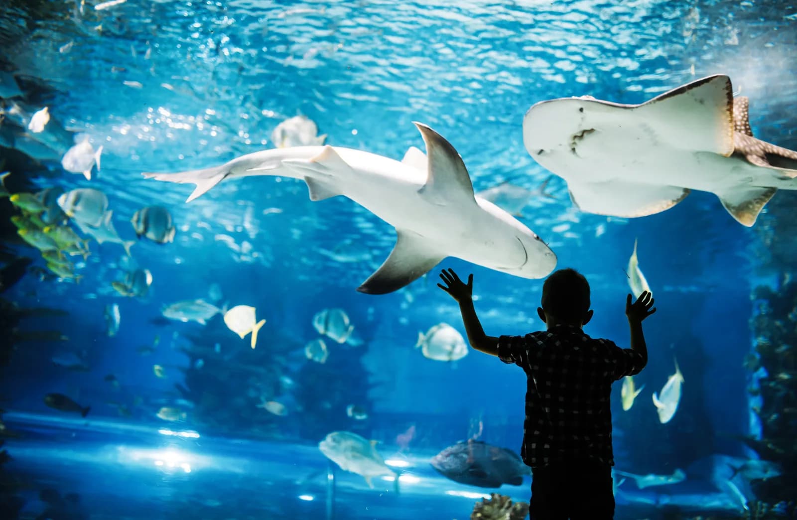 Zoos | Aquariums | Wildlife parks